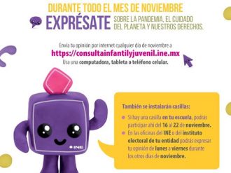 INE presenta la consulta infantil y juvenil 2021