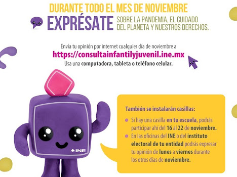 INE presenta la consulta infantil y juvenil 2021