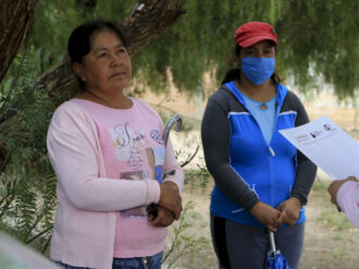 Educación para adultos, rezagada por la pandemia