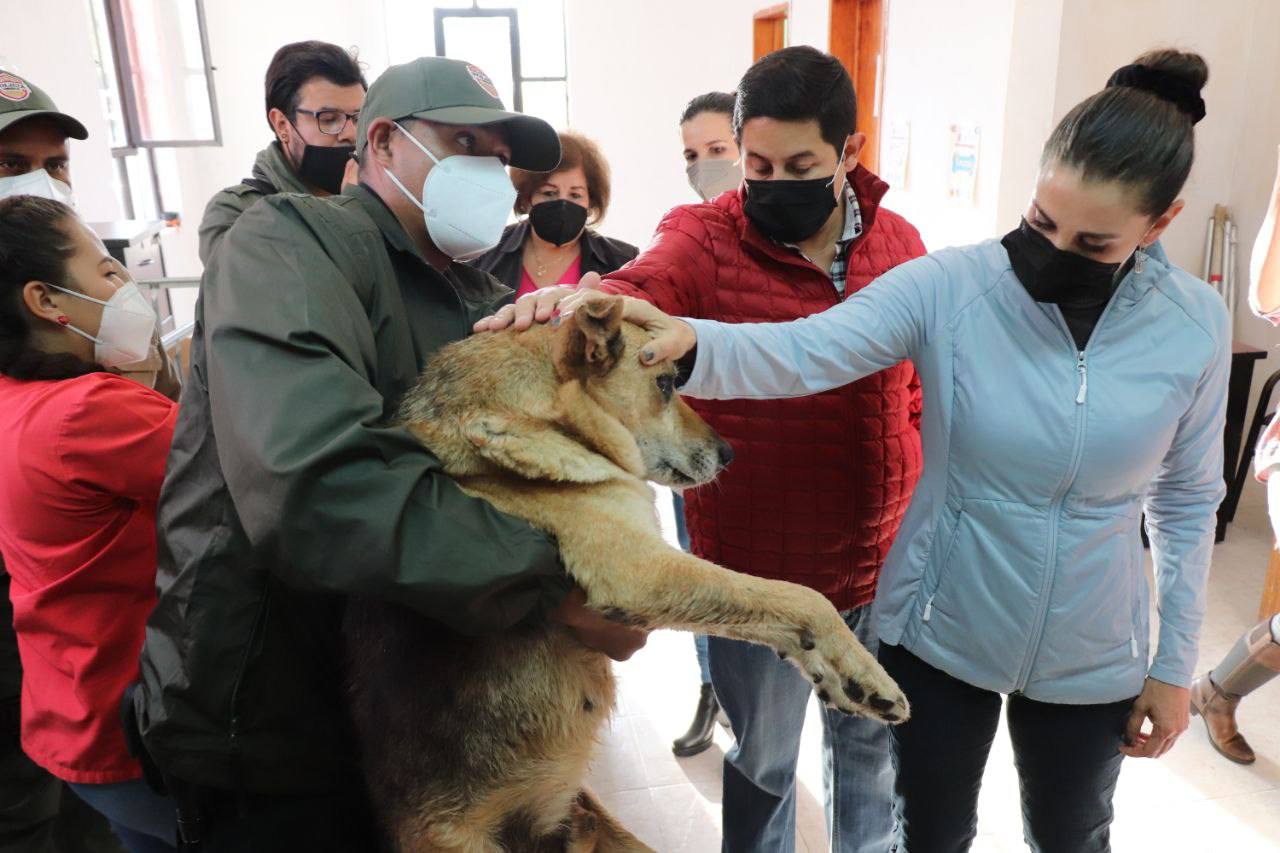 Fija Jorge Miranda compromiso con asociaciones animalistas para mejorar manejo e instalaciones de cacf