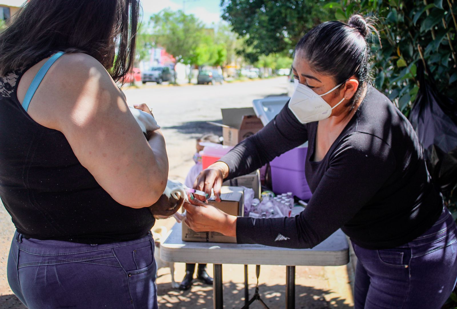 Más de 24 mil dosis para Jornada Nacional de Vacunación Antirrábica en Zacatecas