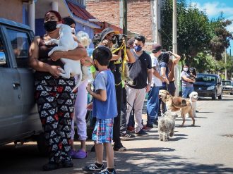 Abandonaron a 200 animales en Ermita de los Correa; solicitan donaciones para ellos