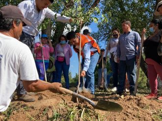 Limpian y reforestan Loreto, Río Grande