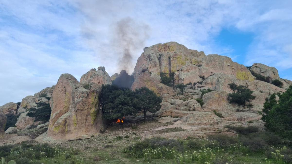 Destruyen campamentos criminales en Jerez