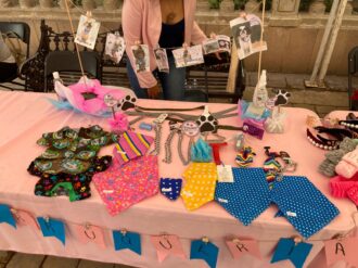 Con el Domingo Rosa buscan empoderar a las mujeres