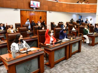 Mucho ruido y pocas nueces en el Congreso