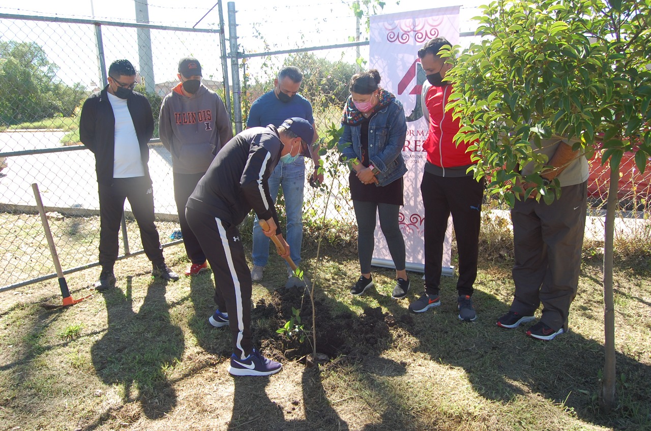 Inicia reforestación en el fraccionamiento Bosques