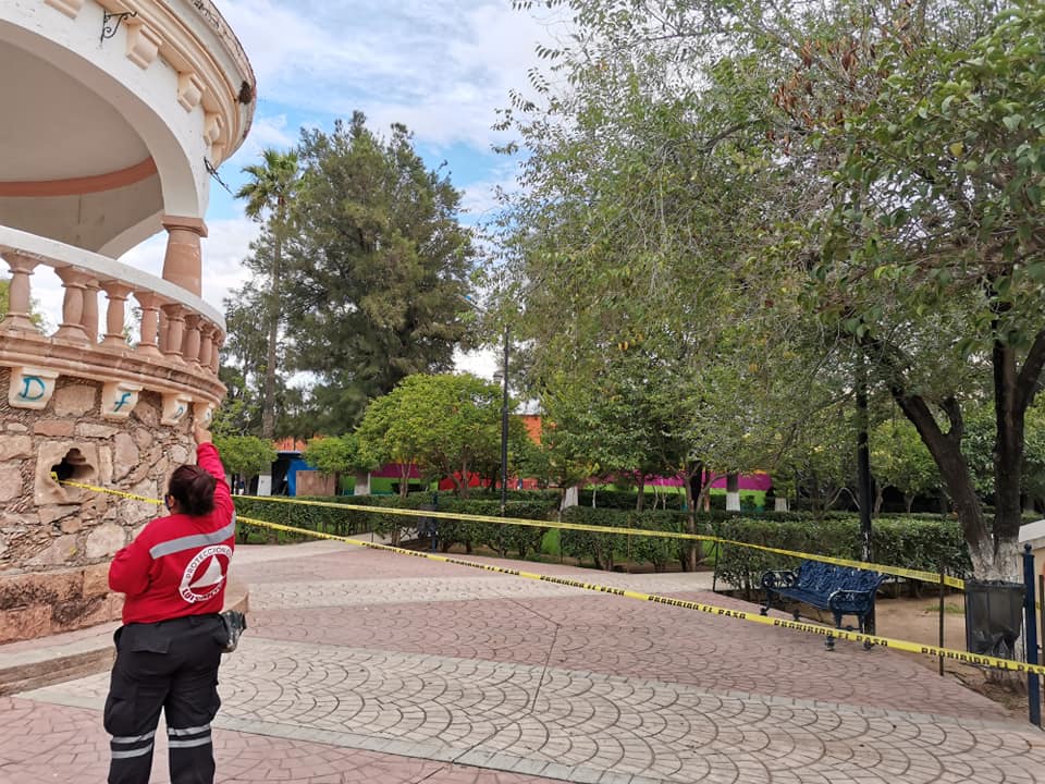 Cierran la Plaza Principal por un enjambre de abejas