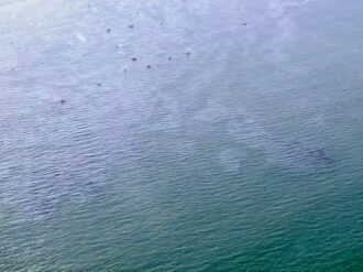 Sur de California afectado por un derrame de petróleo