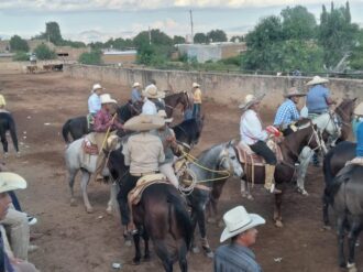 Se impone la experiencia en el coleadero