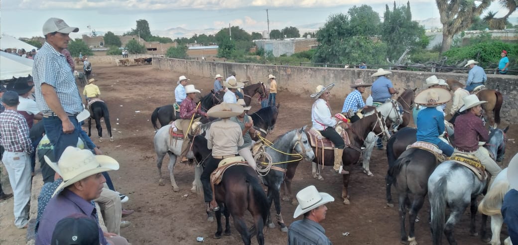 Se impone la experiencia en el coleadero