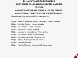 Convoca ayuntamiento de Tabasco a elección de delegados, consejeros y comités