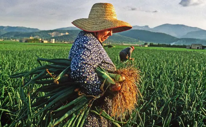 Día Internacional de las Mujeres Rurales