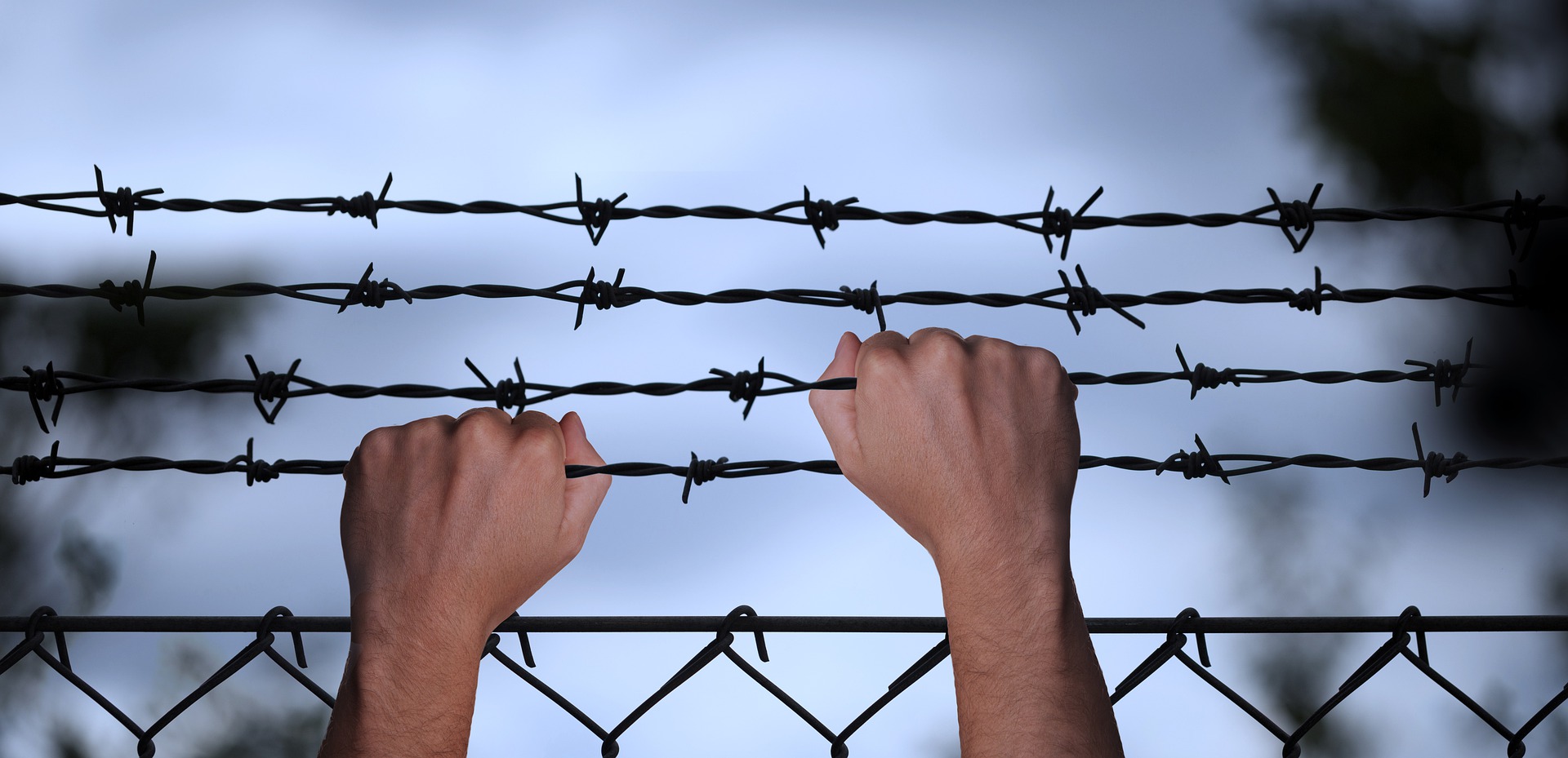 Un séptimo migrante muere en la frontera de Polonia con Bielorrusia