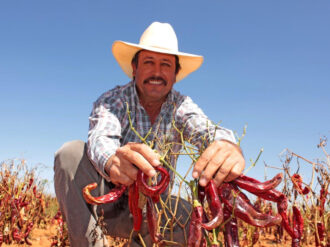 Nutre el campo zacatecano las cocinas mexicanas