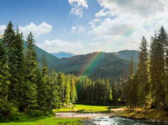 Declaran extintas 22 especies animales nativas de América del Norte