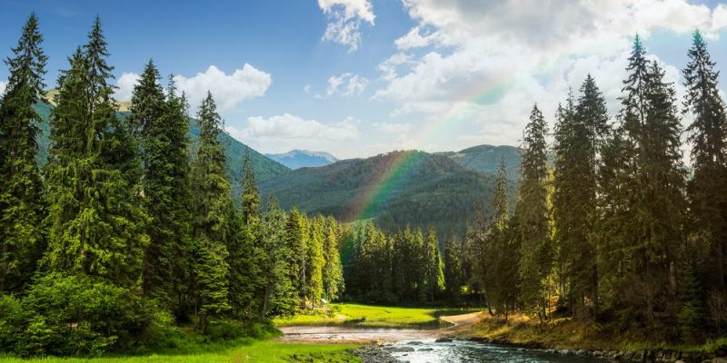 Declaran extintas 22 especies animales nativas de América del Norte