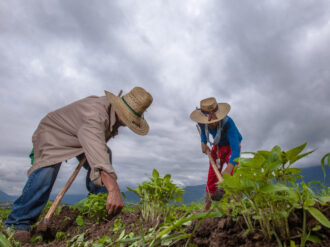 Senadora Geovanna Bañuelos solicita apoyo para pequeños productores rurales