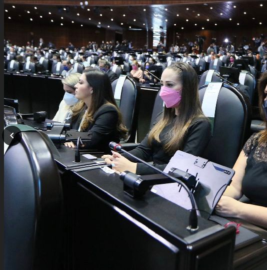 Cuestiona Noemí Luna la actitud de los diputados morenistas