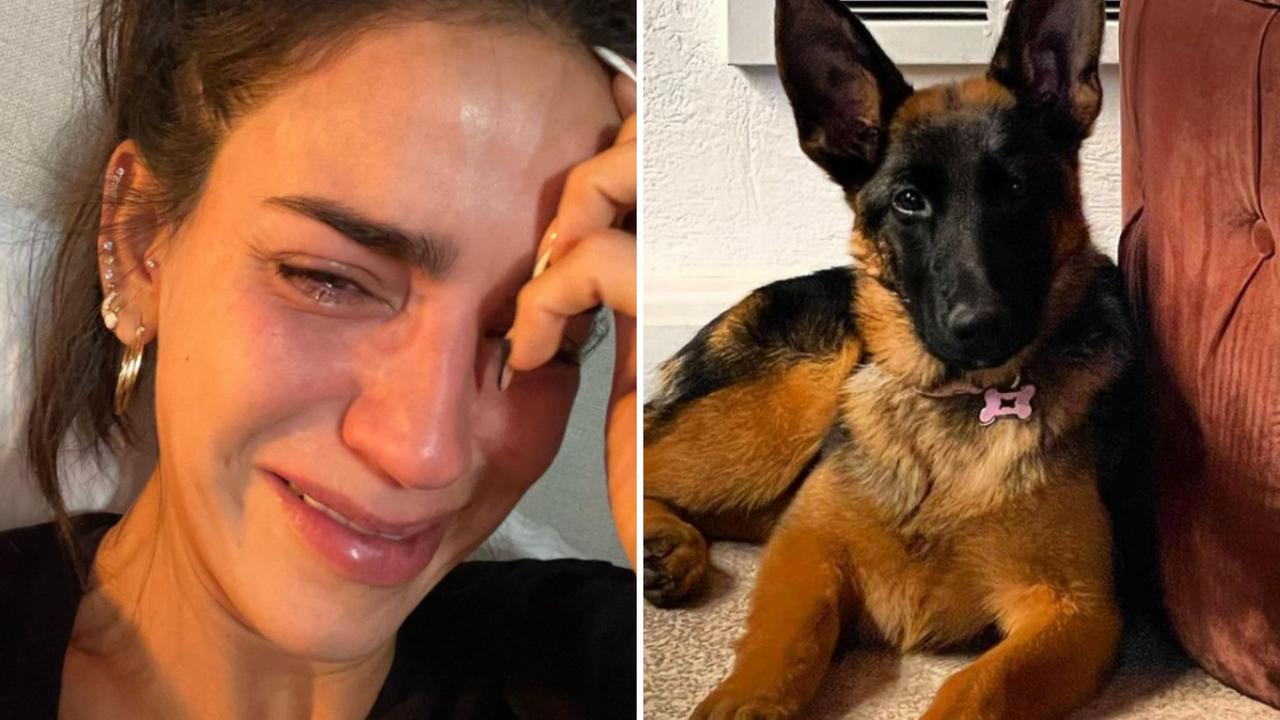 Llora Bárbara del Regil a su mascota