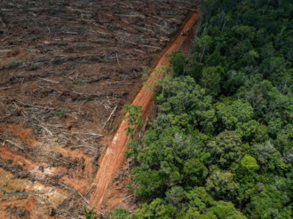 México no firmó pacto para poner fin a deforestación