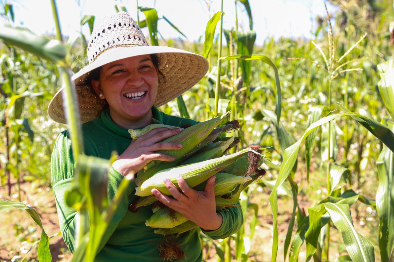 Afecta calentamiento global a la agricultura: NASA