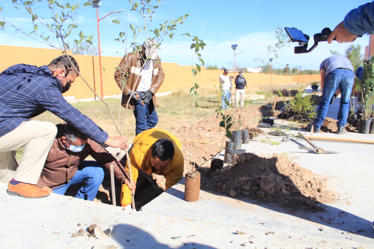 Impulsan la cultura del cuidado del medio ambiente en Río Grande