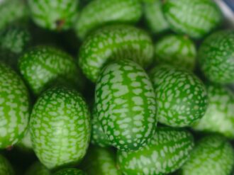 Cucamelón, la pequeña fruta mexicana que querrás probar