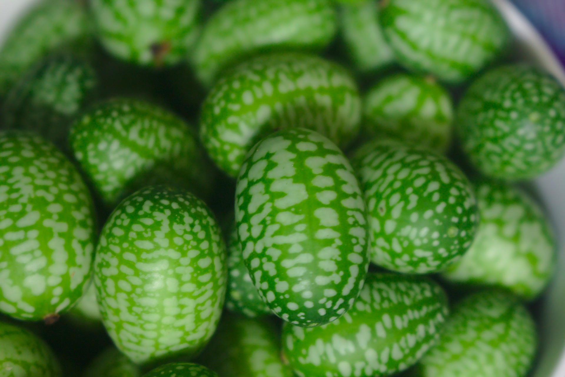 Cucamelón, la pequeña fruta mexicana que querrás probar