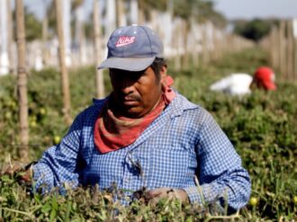 Piden evitar abusos a trabajadores de México en Canadá