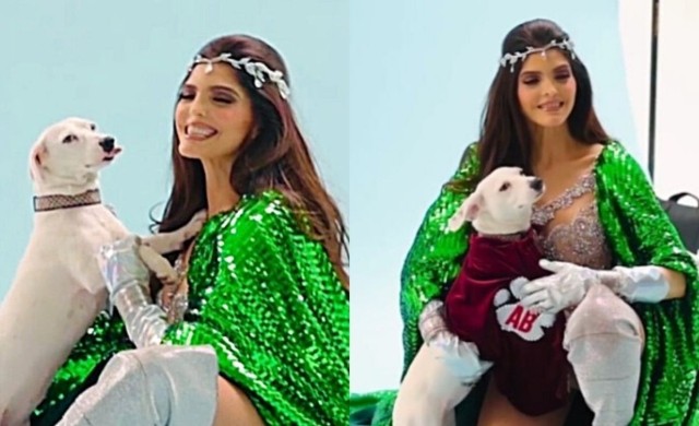 Ana Bárbara, una superheroína de los perros en PETA Latino