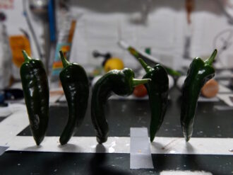 Cultiva la NASA chiles en el espacio