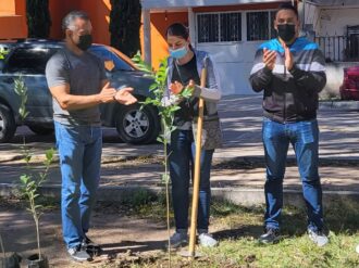 Reforestan fraccionamiento Jardínes de Ramón López Velarde