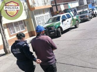 Atiende la Policía Ambiental decenas de casos de maltrato animal