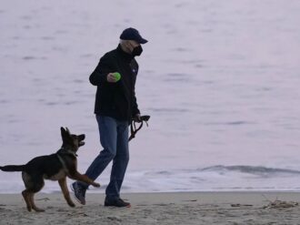 ¿Ómicron, consecuencia de «zoonosis inversa»?, esto sugieren los primeros estudios de la variante