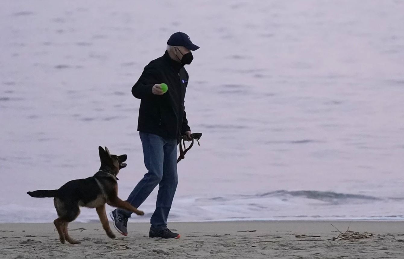 ¿Ómicron, consecuencia de «zoonosis inversa»?, esto sugieren los primeros estudios de la variante