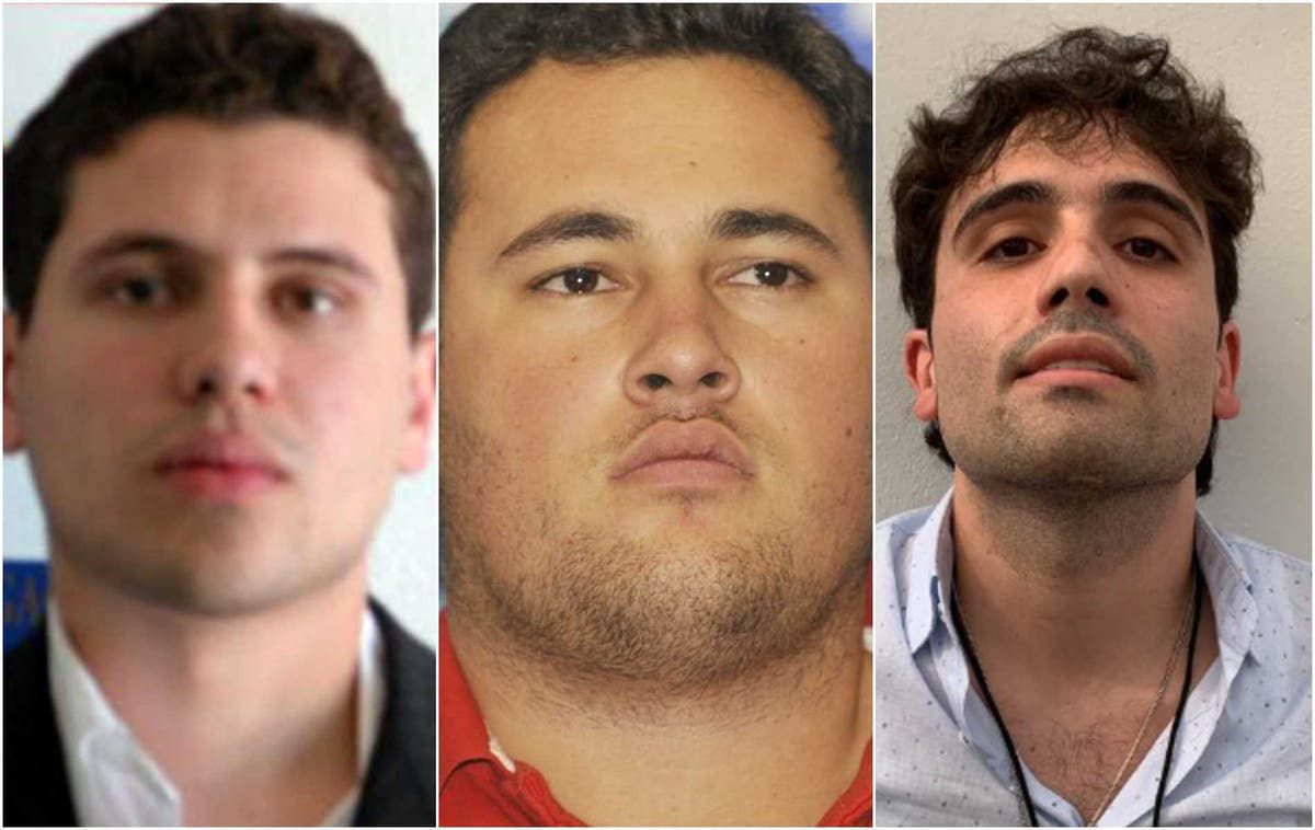 EU ofrece 5mdd por cada uno de los hijos del «Chapo «Guzmán