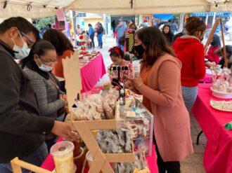 Realizan colecta para llevar la navidad a los más vulnerables