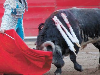 Aprueban en comisiones prohibir corridas de toros en CDMX