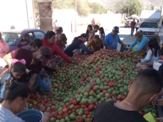 Regalan jitomate a pobladores de Ojocaliente
