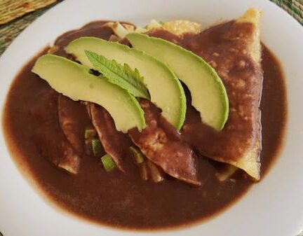Enfrijoladas veganas