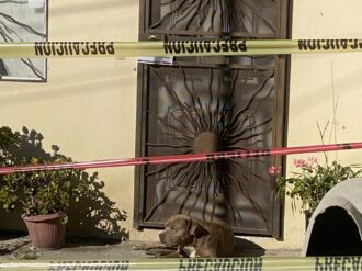 Perro de Lourdes Maldonado la sigue esperando en su puerta