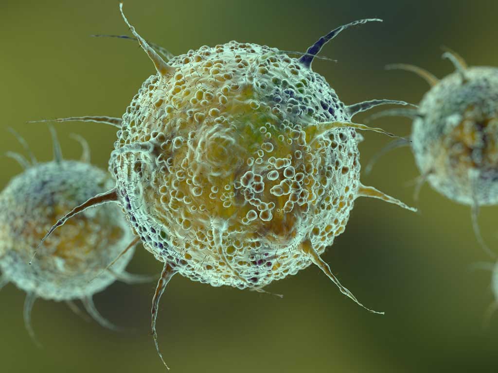 Con ómicron aumentará número de contagios, pero no fallecimientos: AMLO