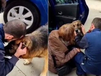 Perro “Dico” se reencuentra con su familia tras 7 años de estar perdido