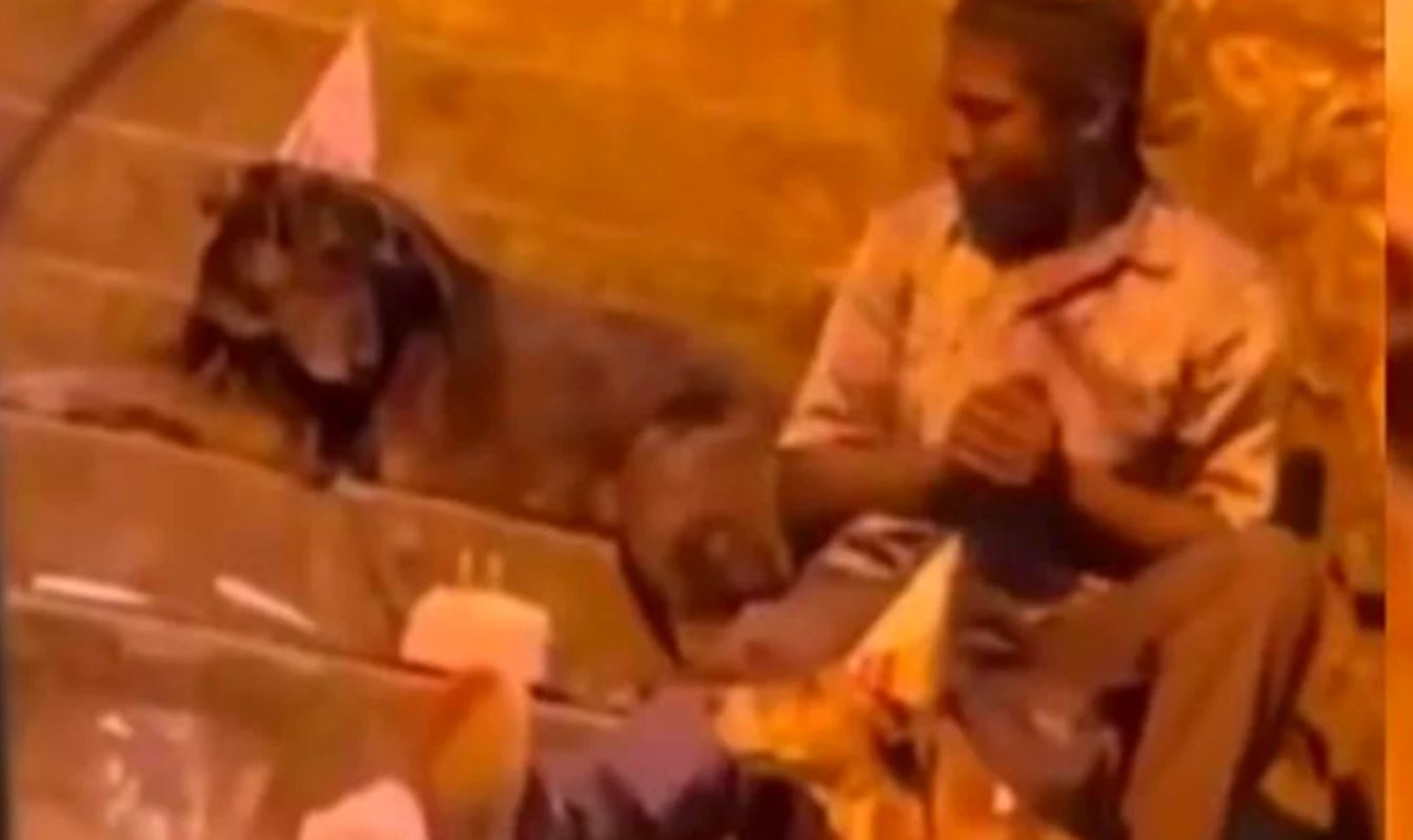 Con gorritos y pastel captan a persona en situación de calle celebrar el cumpleaños de sus perros
