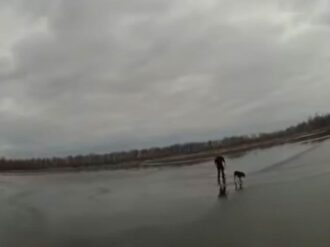 Captan en video a policía al rescatar a una perrita tras caer en un lago congelado