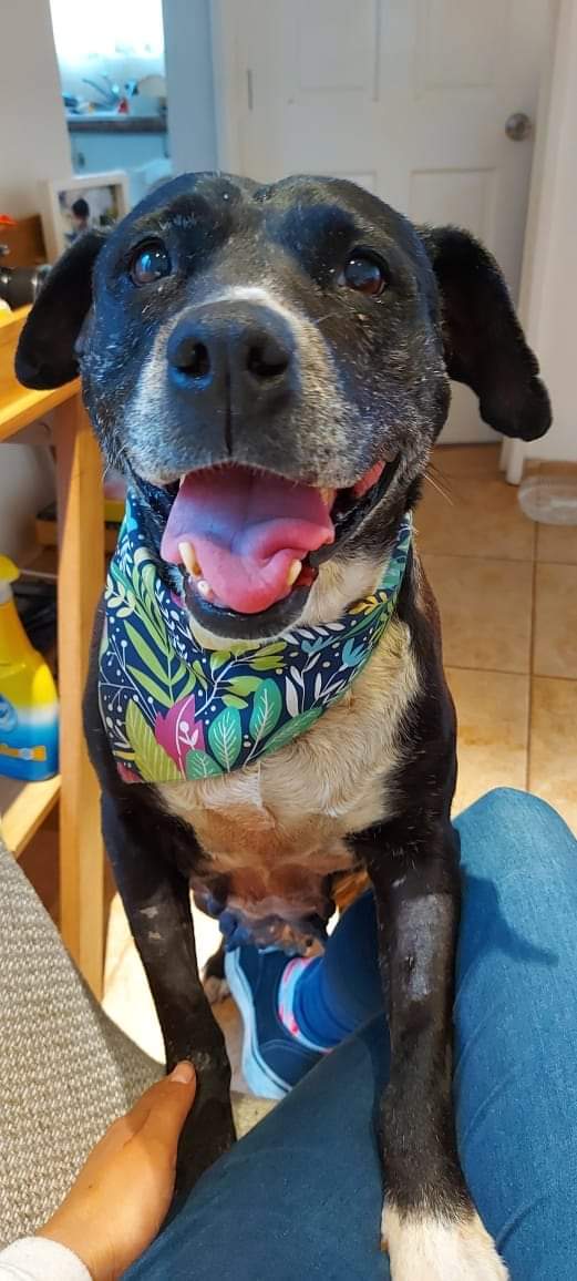 Toñita y el milagro de la adopción