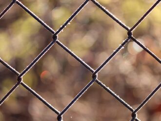 Impiden a migrantes cruzar frontera de Polonia