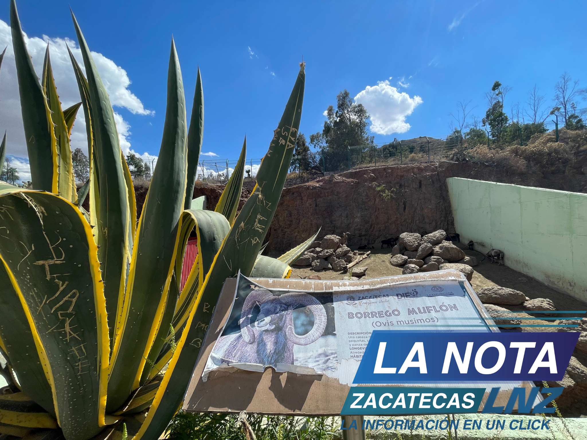 El Zoológico La Encantada, en pésimas condiciones