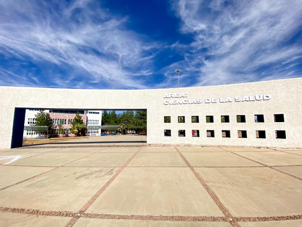 Regresan a clases 38 mil universitarios